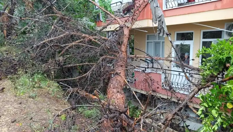 Yağmura Dayanamayan Bina: Çöken Yapının Ardındaki Gerçekler