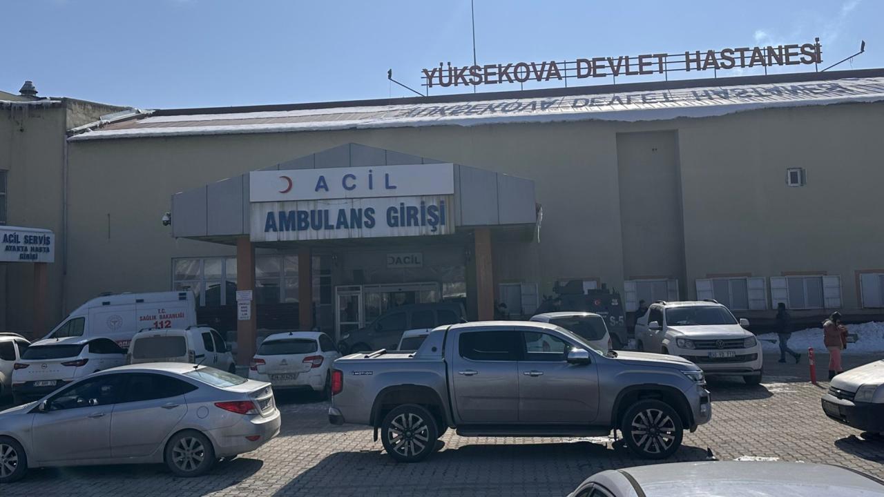 Başıboş Köpeklerle İlgili Müfettiş Görevlendirildi