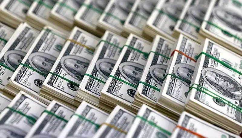 Doların Hızla Yükselmesi: Ekonomistler Uyardı!