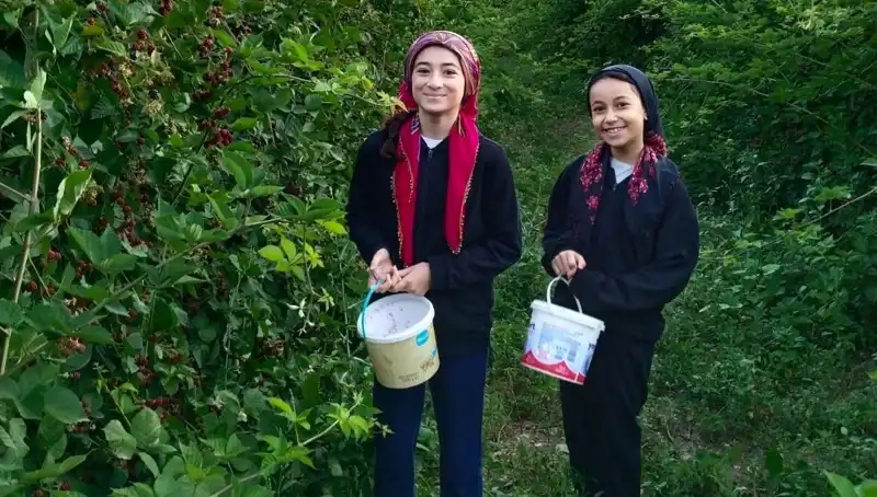 Özellikle Kanserle Mücadelede Antioksidanların Unsurları ve Önemi