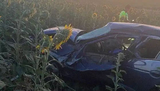 Otomobil Ayçiçeği Tarlasına Devrildi: Kazada Yaralılar Hastaneye Sevk Edildi