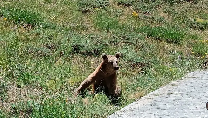 Nemrut Dağı’na Gidenler İçin Özellikle Dikkat Edilmesi Gereken Uyarılar