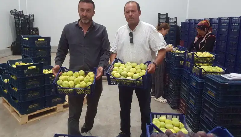Mersinli Çiftçilerin Yüzünü Güldüren Tarımsal İhraç Başarısı